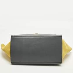 Pre Owned Celine Tricolor Leather and Suede Medium Trapeze Top Handle Bag
