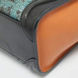 Pre Owned Celine Luggage Nano Tricolor Python and Leather Tote