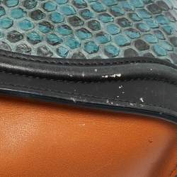 Pre Owned Celine Luggage Nano Tricolor Python and Leather Tote