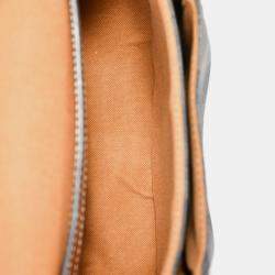 Pre Owned Celine 2020 Brown Triomphe Canvas/Leather Folco Crossbody