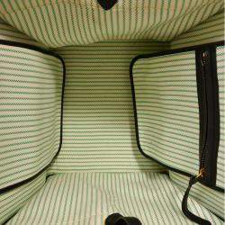 مملوكة مسبقًا Celine Green/Cream Pinstripe Canvas Luggage Phantom Tote