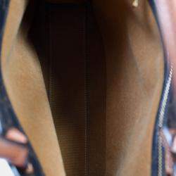 Pre Owned حقيبة يد تروك سيلين عمودية صغيرة كانفس بني