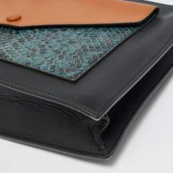 Pre Owned حقيبة سيلين سلسلة جلدي وبيثون بثلاثة ألوان مغلف جيب