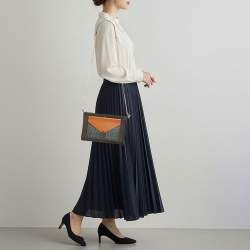 Pre Owned حقيبة سيلين سلسلة جلدي وبيثون بثلاثة ألوان مغلف جيب