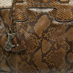 Pre Owned حقيبة يد سيلين شارم بايثون زيتي أخضر