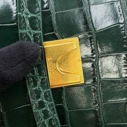 Pre Owned حقيبة سيلين حزام جلد أمازون بنقشة تمساح بحجم مايكرو