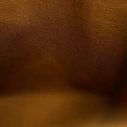 Pre Owned Celine Triomphe Vertical Cabas Mini Tan Triomphe Canvas Calfskin Leather Tote Bag