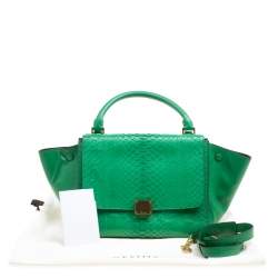 Pre Owned Celine Green Python and Leather Small Trapeze Bag