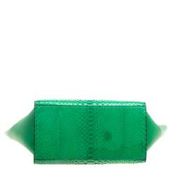 Pre Owned Celine Green Python and Leather Small Trapeze Bag