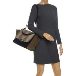 Pre Owned Celine Multicolor Python/Suede and Leather Medium Trapeze Top Handle Bag