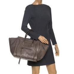 Pre Owned Celine Grey Python Medium Phantom Luggage Tote