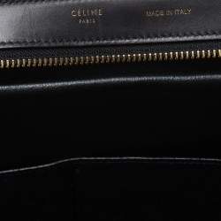 Pre Owned Celine Tri Color Calfhair and Leather Small Trapeze Bag