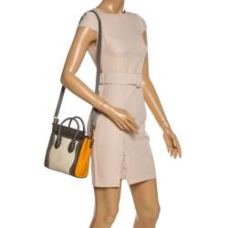 Pre Owned حقيبة سيلين نانو لاغيدج جلد و جلد ثعبان ثلاثي اللون