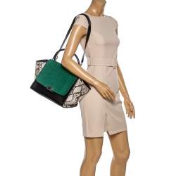 Pre Owned Celine Multicolor Python and  Leather Medium Trapeze Bag