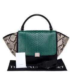 Pre Owned Celine Multicolor Python and  Leather Medium Trapeze Bag