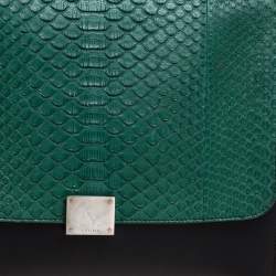 Pre Owned Celine Multicolor Python and  Leather Medium Trapeze Bag