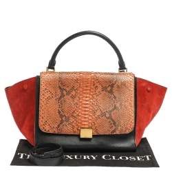 Pre Owned Celine Multicolor Python,Suede and Leather Medium Trapeze Top Handle Bag