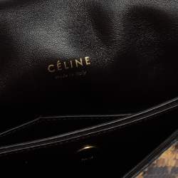 Pre Owned Céline Beige/Black Python Trotteur Shoulder Bag