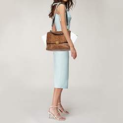 Pre Owned Celine Multicolor Python and Leather Medium Trapeze Bag