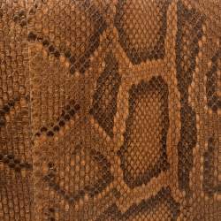 Pre Owned Celine Multicolor Python and Leather Medium Trapeze Bag