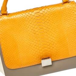 مملوكة مسبقًا Celine Tri Color Leather and Python Medium Trapeze Top Handle Bag