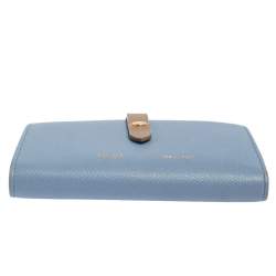 Pre Owned Celine Blue/Brown Leather Multifunction Strap Wallet
