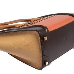 Pre Owned Celine Multicolor Leather Micro Luggage Tote