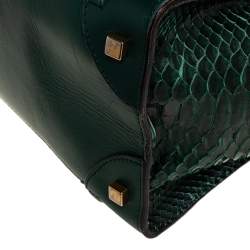 مملوكة مسبقًا حقيبة يد توتس سيلين ميني لاغيدج جلد وجلد ثعبان أخضر