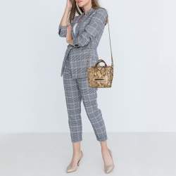 Pre Owned Céline Beige/Black Python Nano Luggage Tote