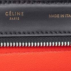 Pre Owned Celine Multicolor Calf Hair and Leather Medium Trapeze Top Handle Bag