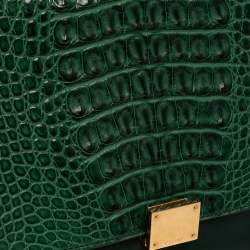 Pre Owned Celine Green Crocodile/Leather And Suede Medium Trapeze Bag