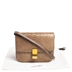 Pre Owned Celine Grey Python Medium Classic Box Shoulder Bag