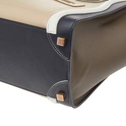 Pre Owned Celine Multicolor Leather Micro Luggage Tote