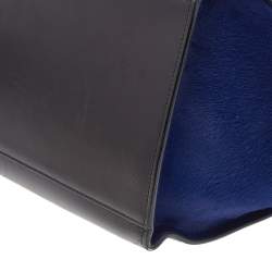 Pre Owned Celine Multicolor Calfhair and Leather Medium Trapeze Bag