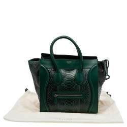 Pre Owned حقيبة يد سيلين لاغيدج ميني جلد ثعبان أخضر