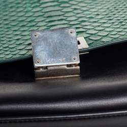 Pre Owned Celine Tricolor Python and Leather Medium Trapeze Bag