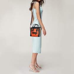 مملوكة مسبقًا حقيبة يد سيلين نانو لاغيدج جلد متعدد الألوان