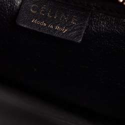 Pre Owned حقيبة يد توتس سيلين نانو لاغيدج جلد وجلد ثعبان ثلاثية اللون