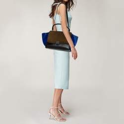 Pre Owned Celine Tri Color Leather And Pony Hair Medium Trapeze Top Handle Bag
