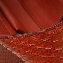 Pre Owned Celine Cinnamon Brown Leather and Python Micro Belt Bag