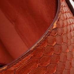 Pre Owned Celine Cinnamon Brown Leather and Python Micro Belt Bag