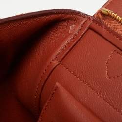 Pre Owned Celine Cinnamon Brown Leather and Python Micro Belt Bag