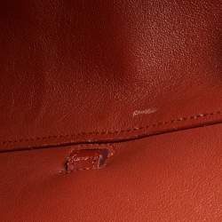 Pre Owned Celine Cinnamon Brown Leather and Python Micro Belt Bag