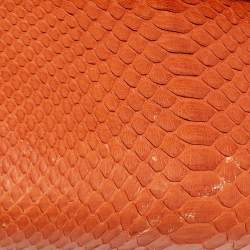 Pre Owned Celine Cinnamon Brown Leather and Python Micro Belt Bag