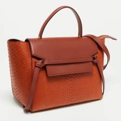 Pre Owned Celine Cinnamon Brown Leather and Python Micro Belt Bag