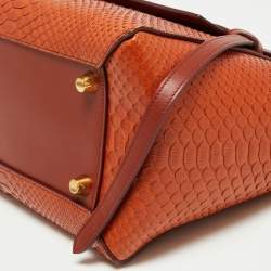 Pre Owned Celine Cinnamon Brown Leather and Python Micro Belt Bag