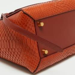 Pre Owned Celine Cinnamon Brown Leather and Python Micro Belt Bag