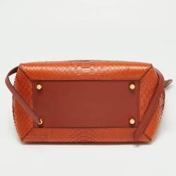 Pre Owned Celine Cinnamon Brown Leather and Python Micro Belt Bag