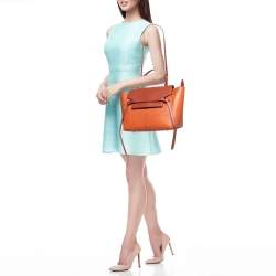 Pre Owned Celine Cinnamon Brown Leather and Python Micro Belt Bag