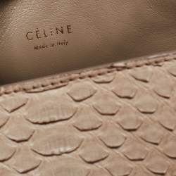 Pre Owned Celine Grey Python Mini Luggage Tote